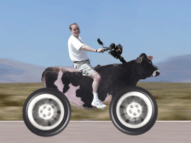 Cal bought a Kowasaki to save gas