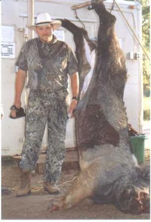 Cal likes to hunt wild boar