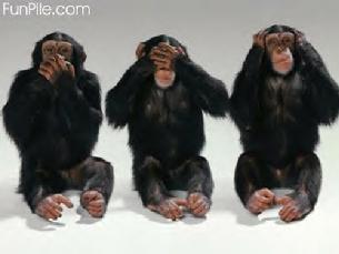 Cals accounting department