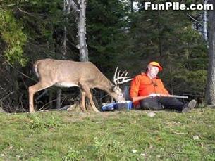 Cals hunting tip, stay alert