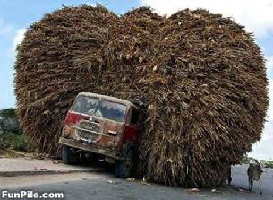 Cals last load