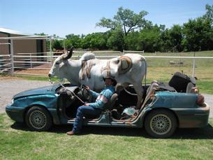 Cals new bull hauler
