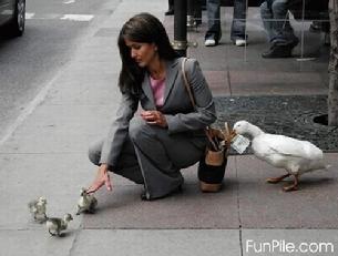 Cal taught his bird a new trick