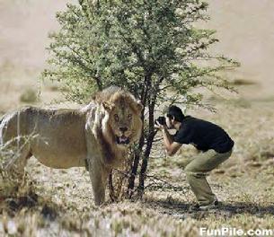Cal used to be a wildlife photographer