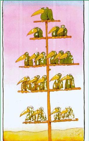Cal used to climb the corporate ladder