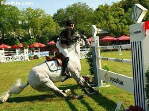 Cal used to jump horses